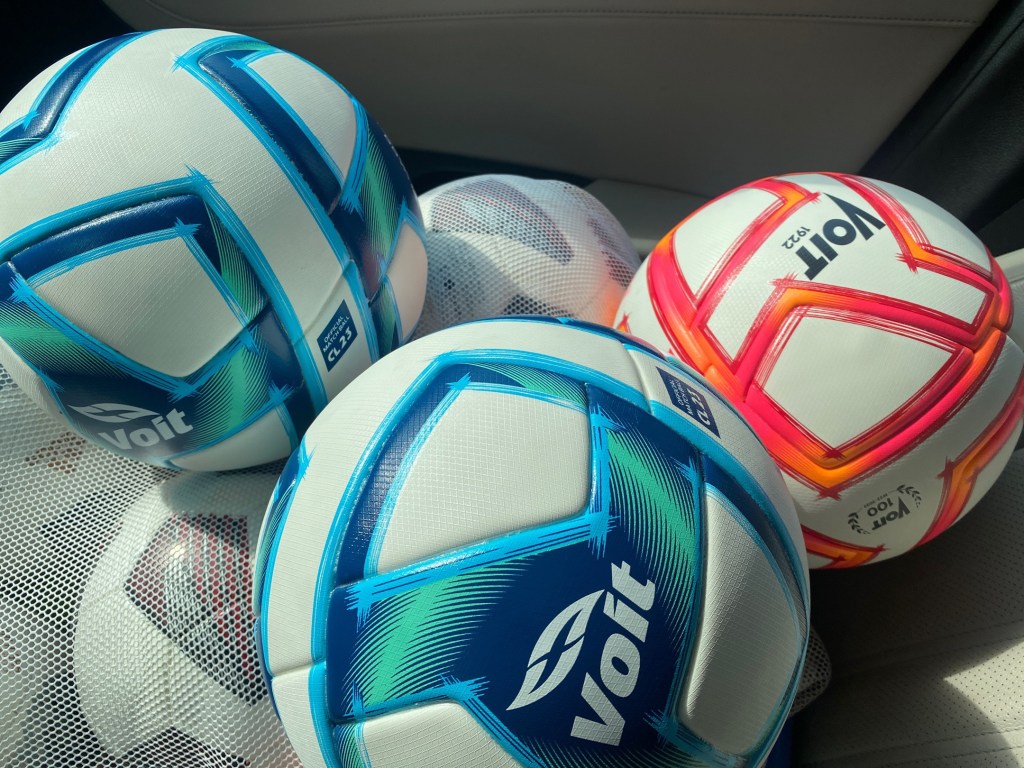 Ref Life: Basic Game Report